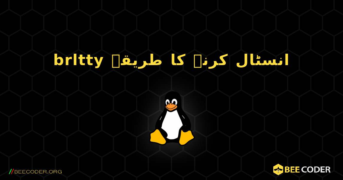 brltty  انسٹال کرنے کا طریقہ. Linux