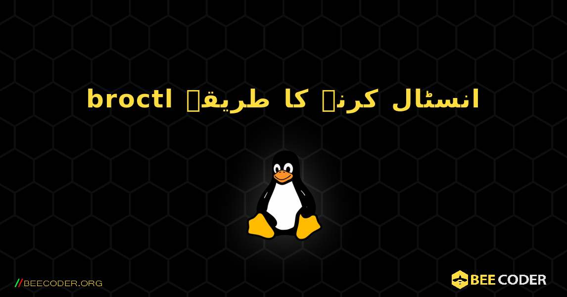broctl  انسٹال کرنے کا طریقہ. Linux