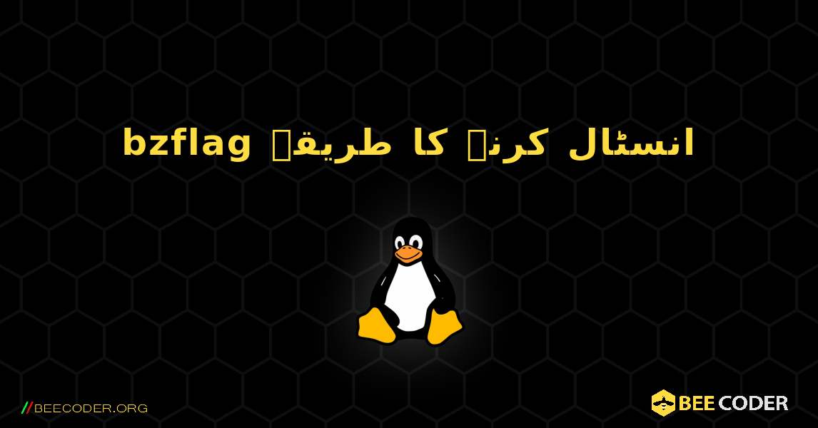 bzflag  انسٹال کرنے کا طریقہ. Linux