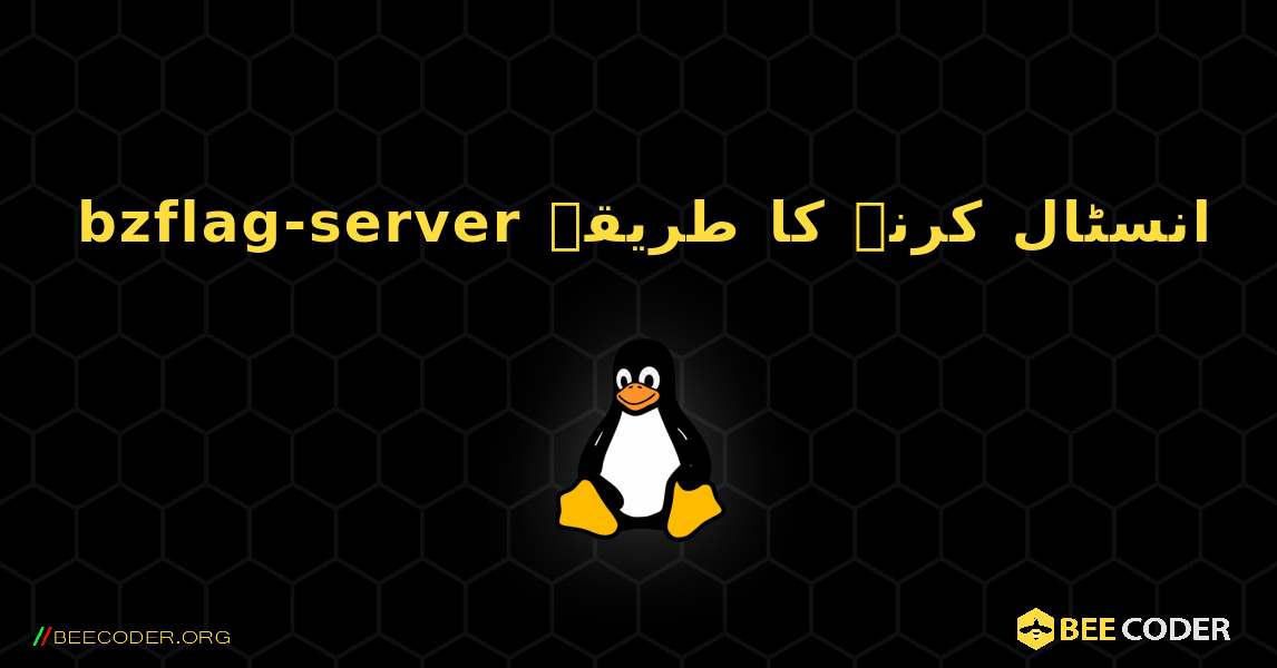 bzflag-server  انسٹال کرنے کا طریقہ. Linux
