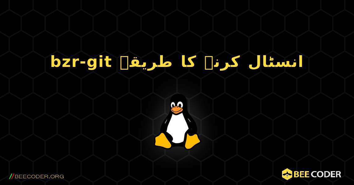 bzr-git  انسٹال کرنے کا طریقہ. Linux