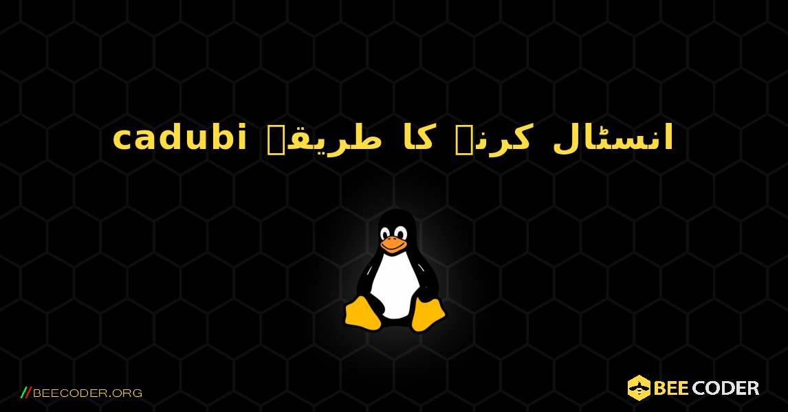 cadubi  انسٹال کرنے کا طریقہ. Linux