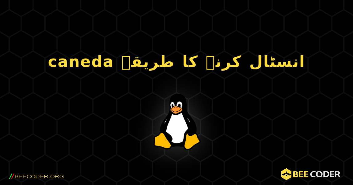 caneda  انسٹال کرنے کا طریقہ. Linux