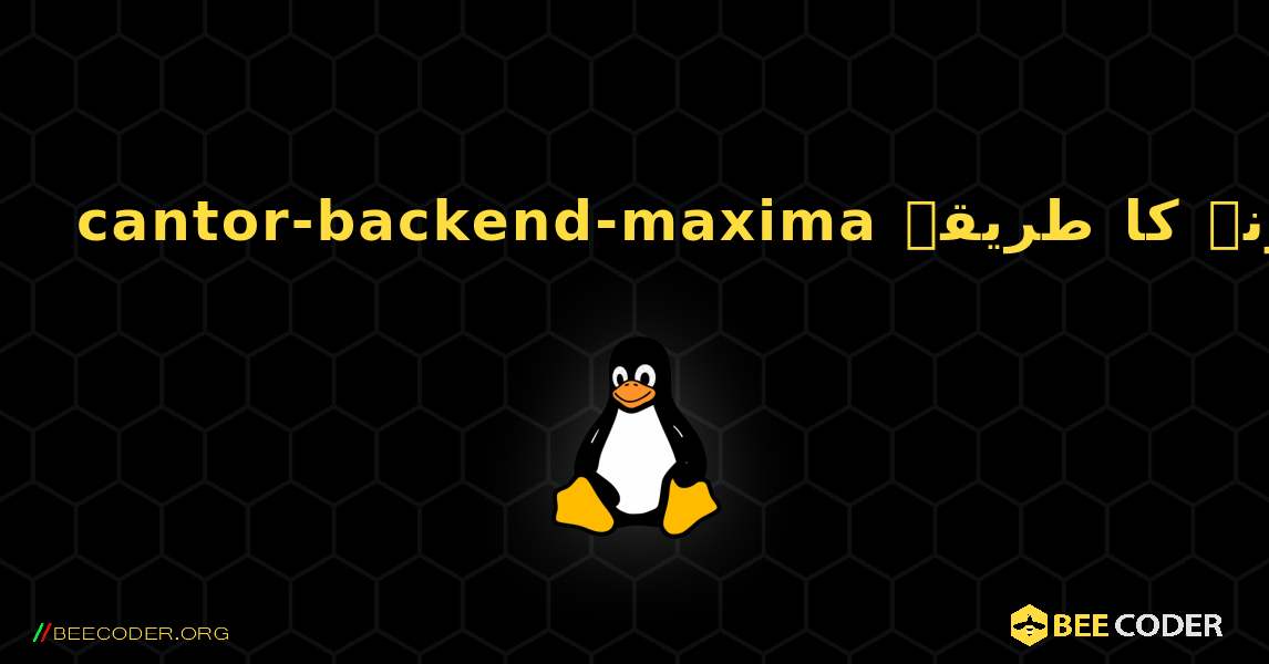 cantor-backend-maxima  انسٹال کرنے کا طریقہ. Linux