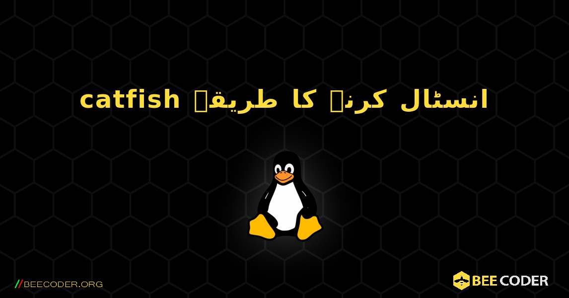 catfish  انسٹال کرنے کا طریقہ. Linux
