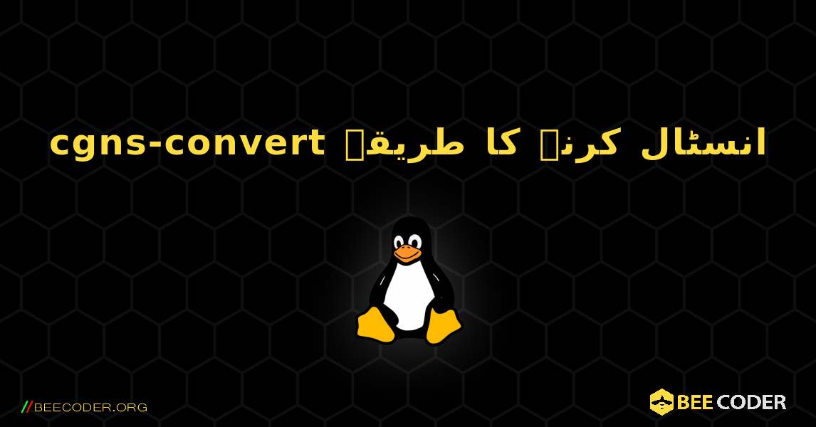 cgns-convert  انسٹال کرنے کا طریقہ. Linux