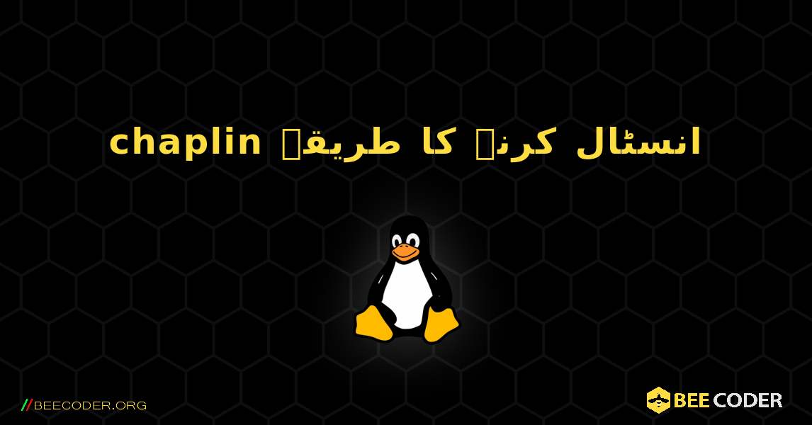 chaplin  انسٹال کرنے کا طریقہ. Linux