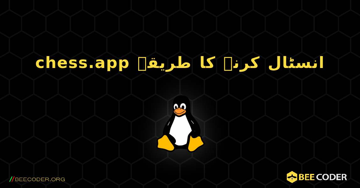 chess.app  انسٹال کرنے کا طریقہ. Linux