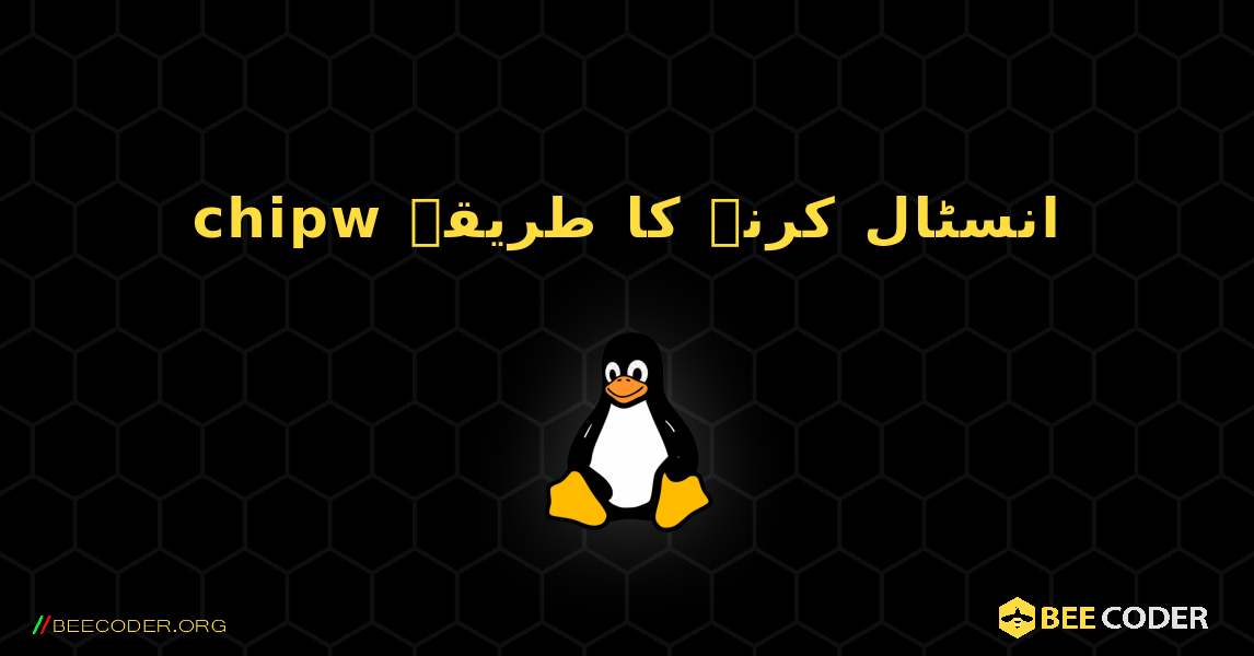 chipw  انسٹال کرنے کا طریقہ. Linux