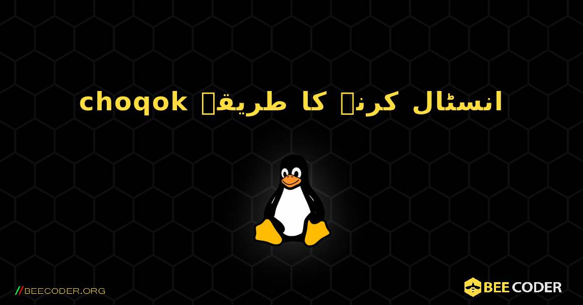 choqok  انسٹال کرنے کا طریقہ. Linux