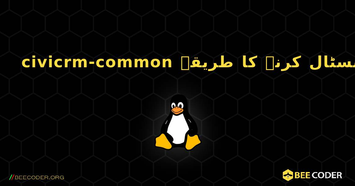 civicrm-common  انسٹال کرنے کا طریقہ. Linux