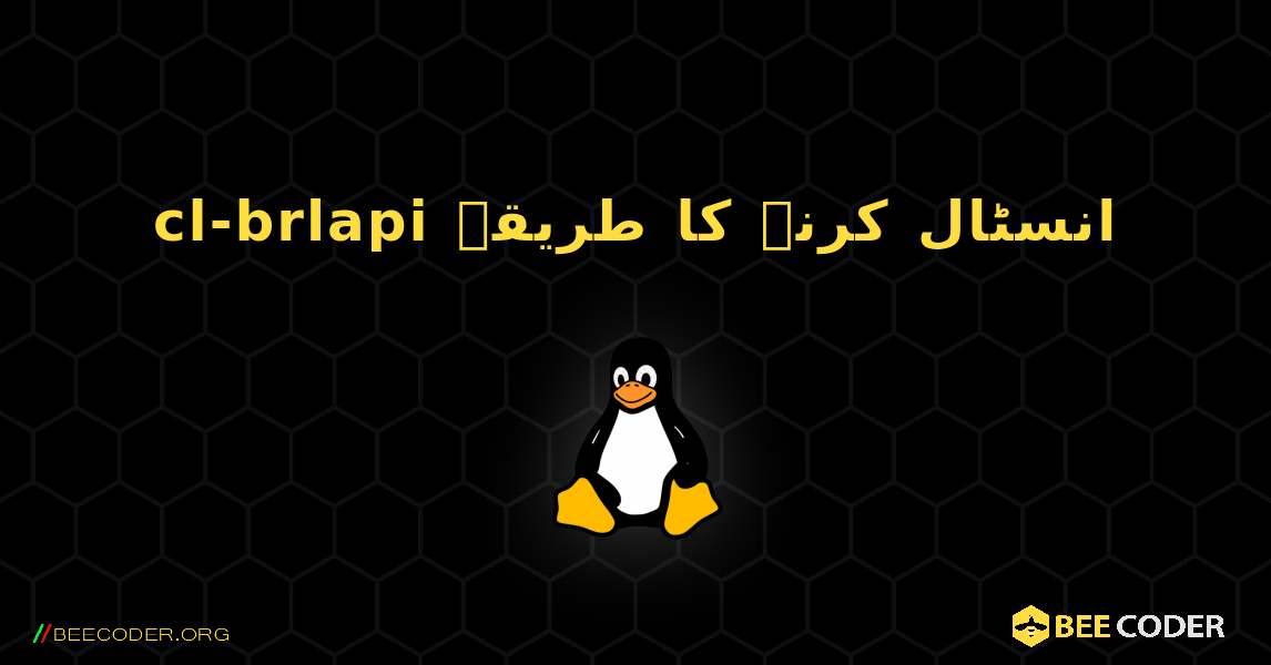 cl-brlapi  انسٹال کرنے کا طریقہ. Linux