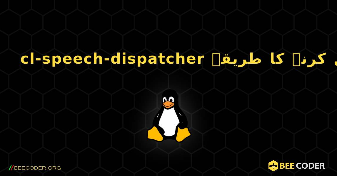 cl-speech-dispatcher  انسٹال کرنے کا طریقہ. Linux