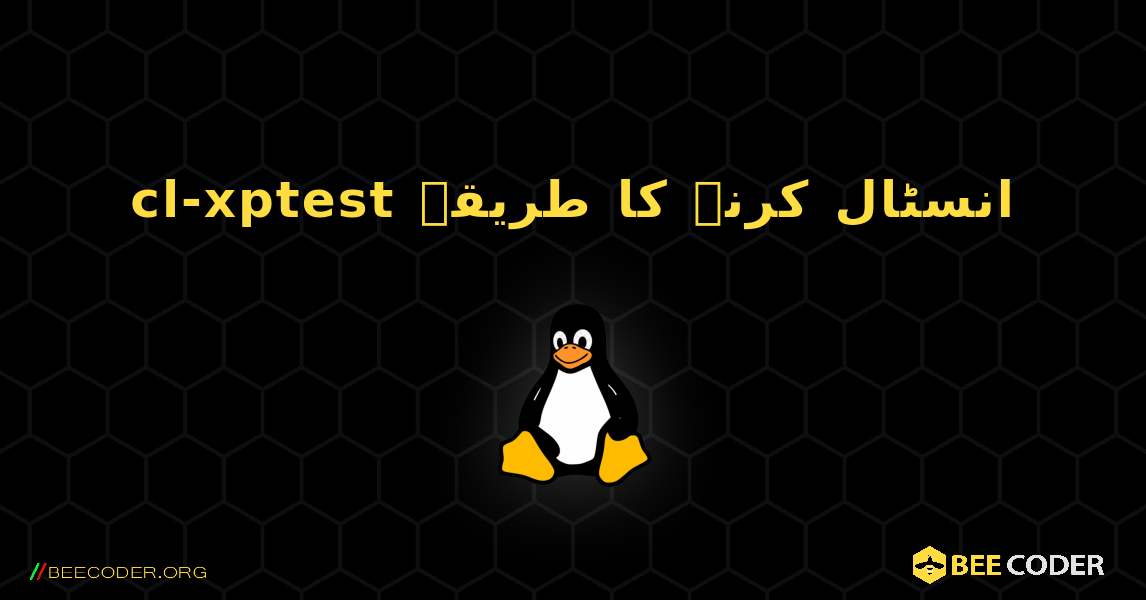 cl-xptest  انسٹال کرنے کا طریقہ. Linux