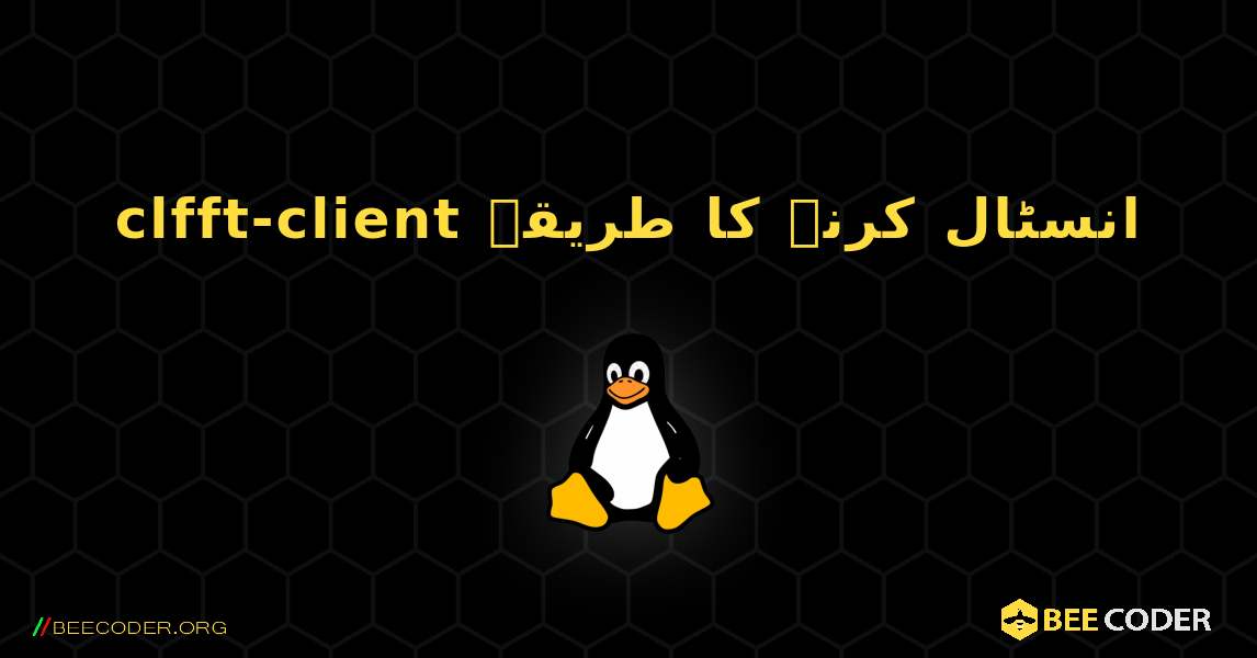clfft-client  انسٹال کرنے کا طریقہ. Linux