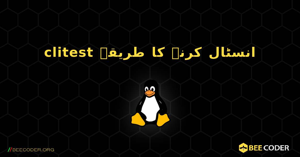 clitest  انسٹال کرنے کا طریقہ. Linux