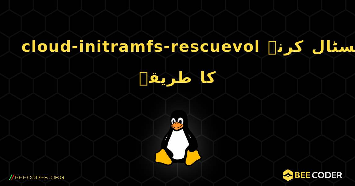 cloud-initramfs-rescuevol  انسٹال کرنے کا طریقہ. Linux