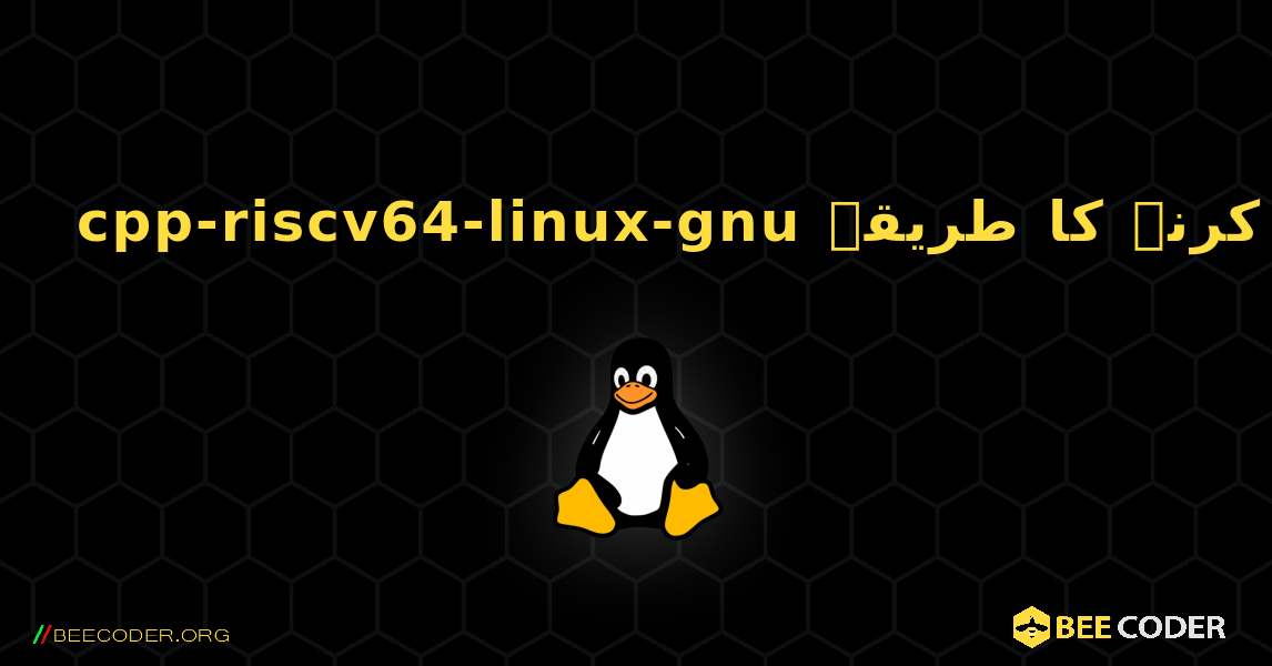 cpp-riscv64-linux-gnu  انسٹال کرنے کا طریقہ. Linux