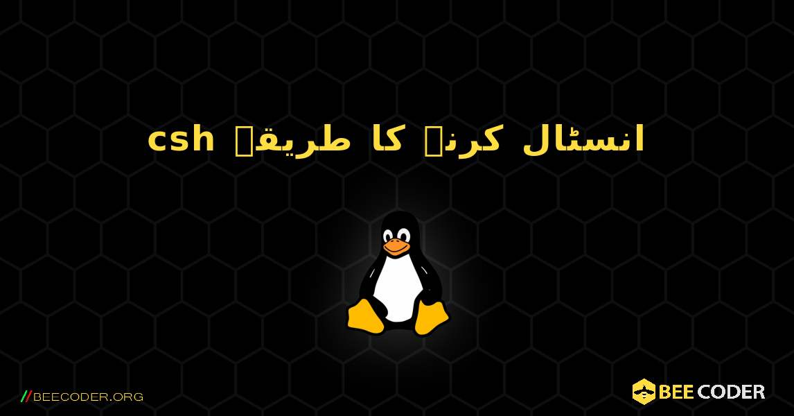 csh  انسٹال کرنے کا طریقہ. Linux