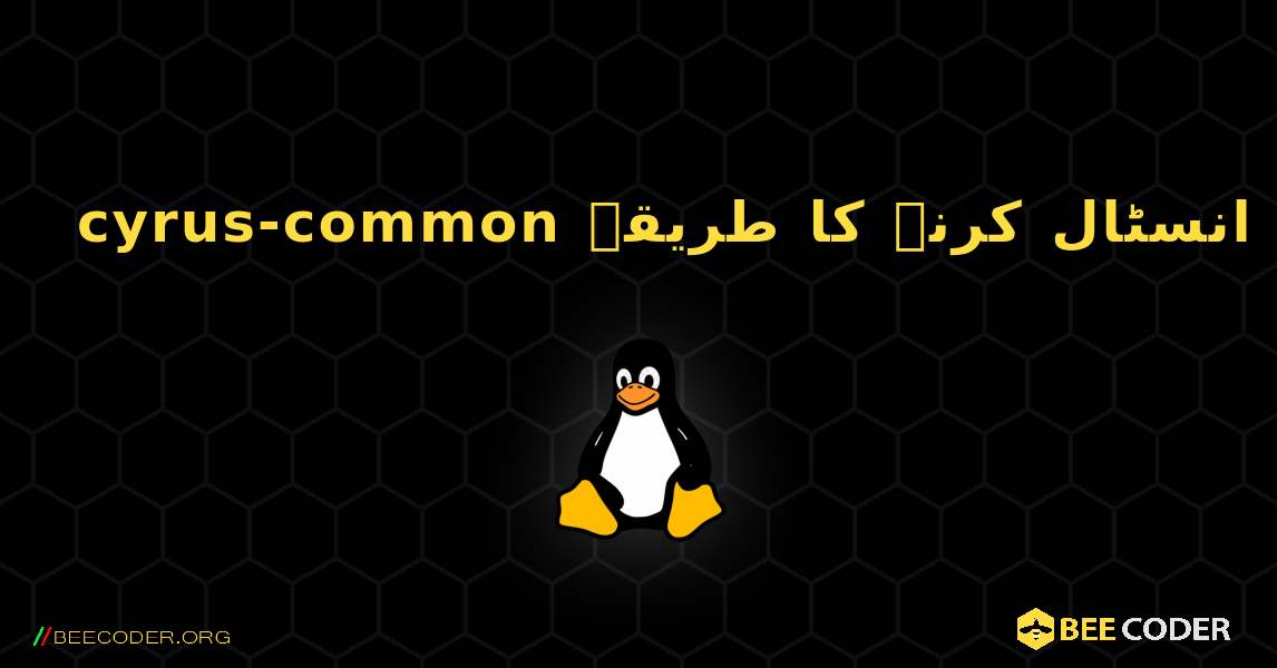 cyrus-common  انسٹال کرنے کا طریقہ. Linux