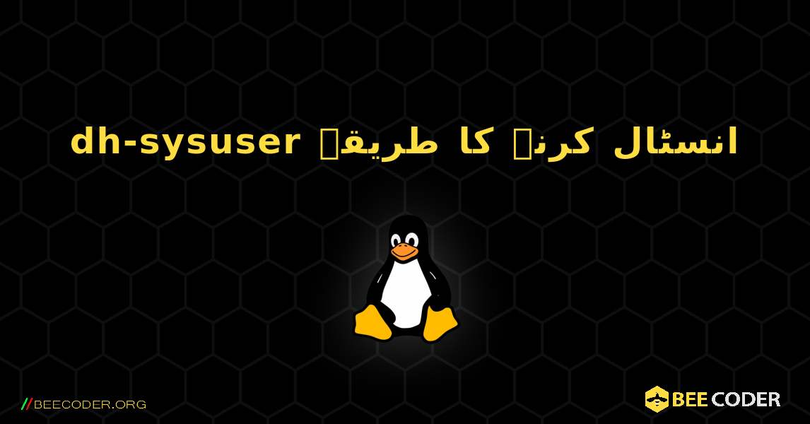 dh-sysuser  انسٹال کرنے کا طریقہ. Linux
