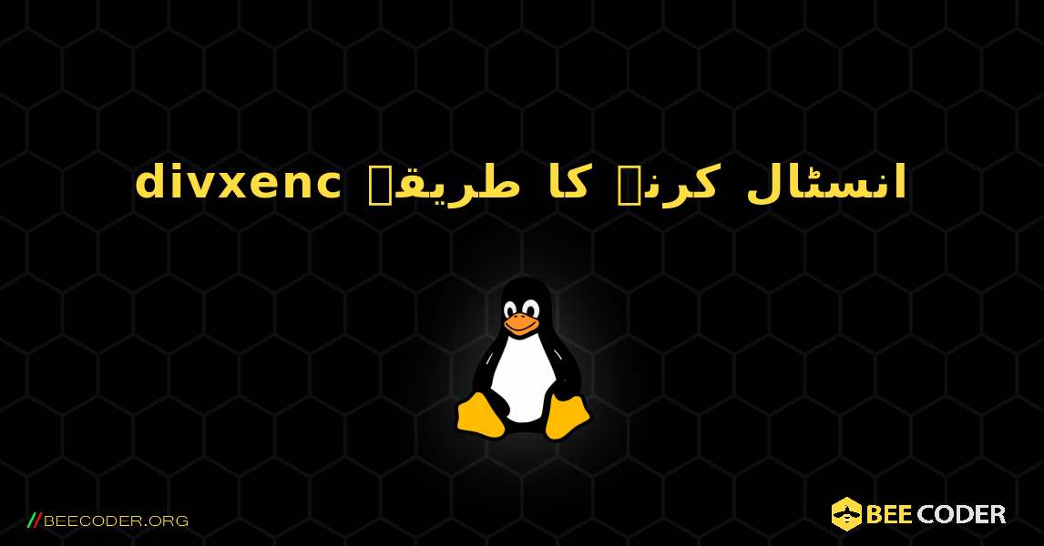 divxenc  انسٹال کرنے کا طریقہ. Linux