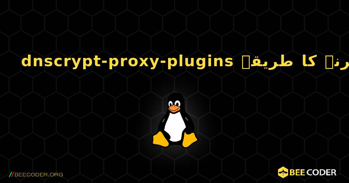dnscrypt-proxy-plugins  انسٹال کرنے کا طریقہ. Linux