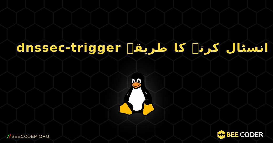 dnssec-trigger  انسٹال کرنے کا طریقہ. Linux