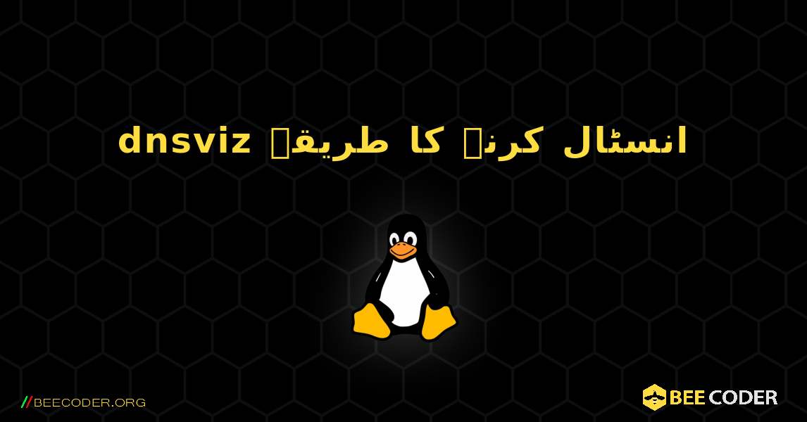 dnsviz  انسٹال کرنے کا طریقہ. Linux