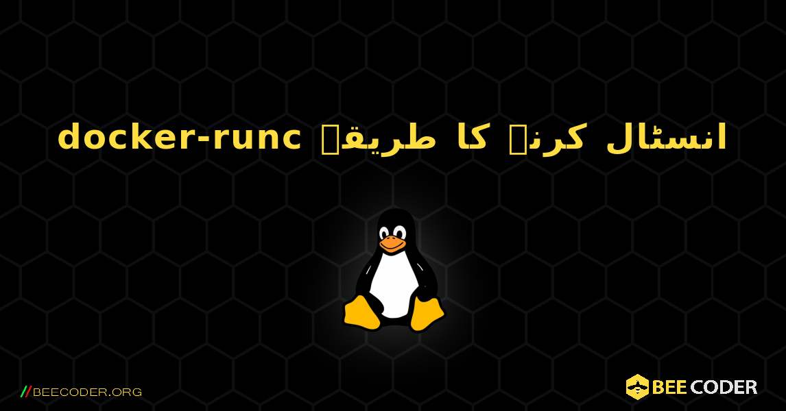 docker-runc  انسٹال کرنے کا طریقہ. Linux