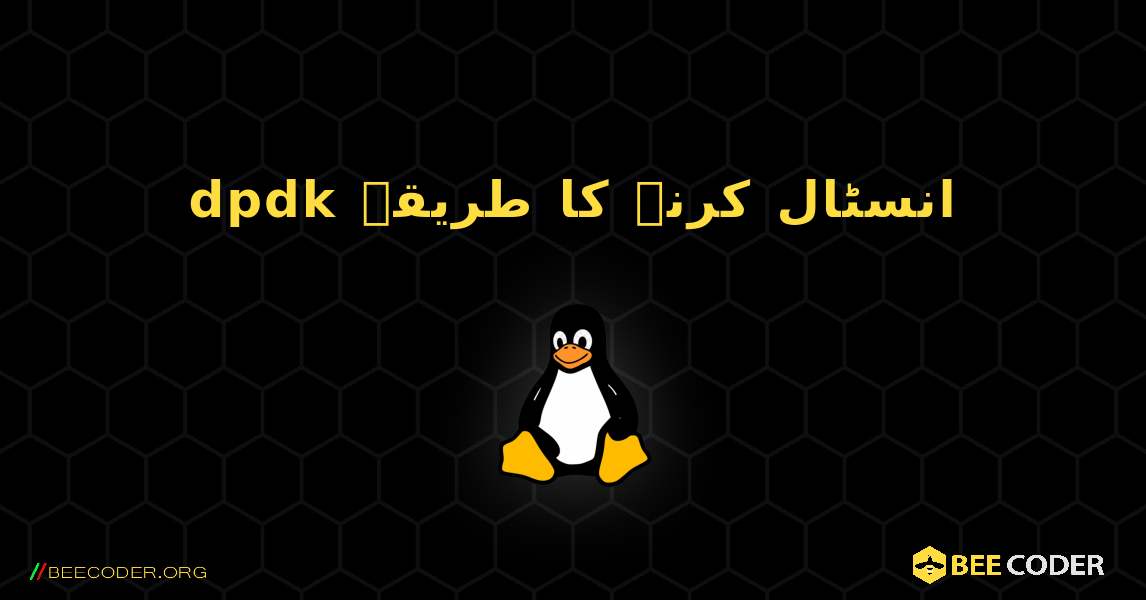 dpdk  انسٹال کرنے کا طریقہ. Linux