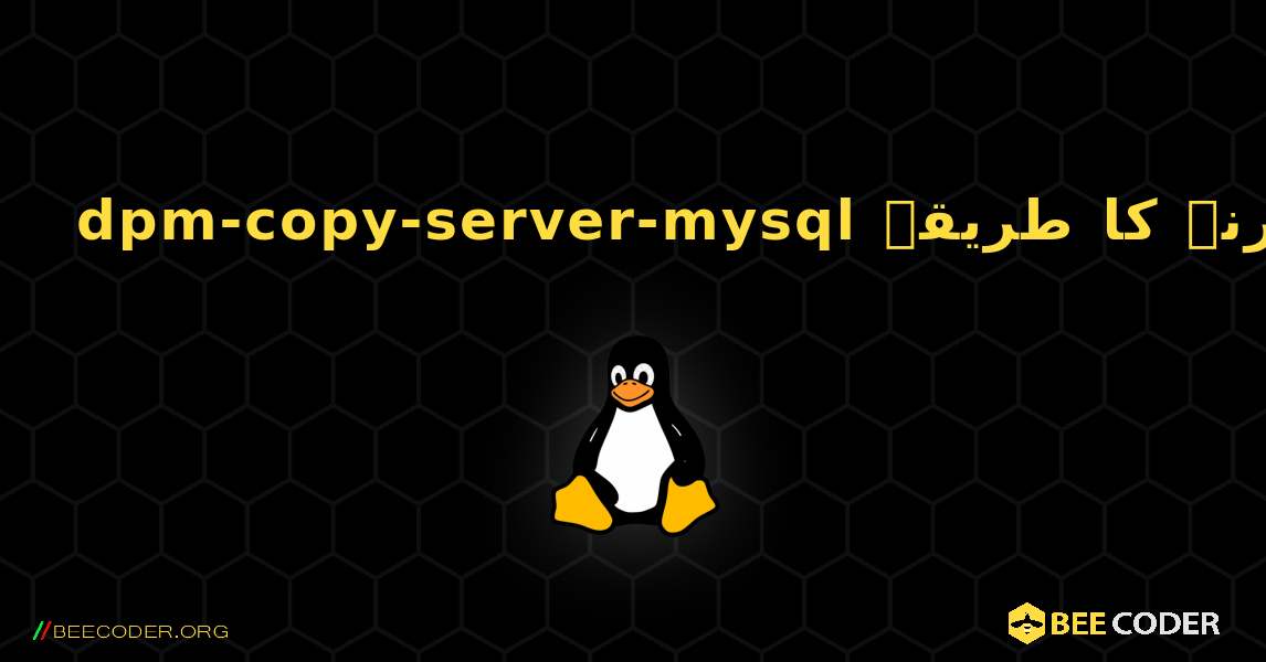 dpm-copy-server-mysql  انسٹال کرنے کا طریقہ. Linux