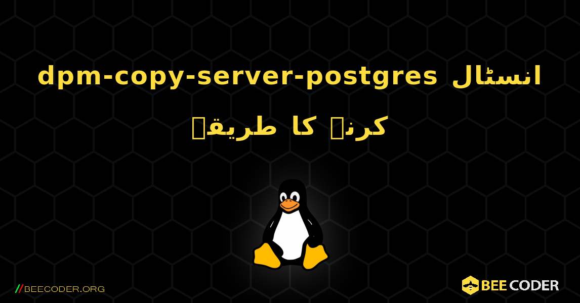 dpm-copy-server-postgres  انسٹال کرنے کا طریقہ. Linux