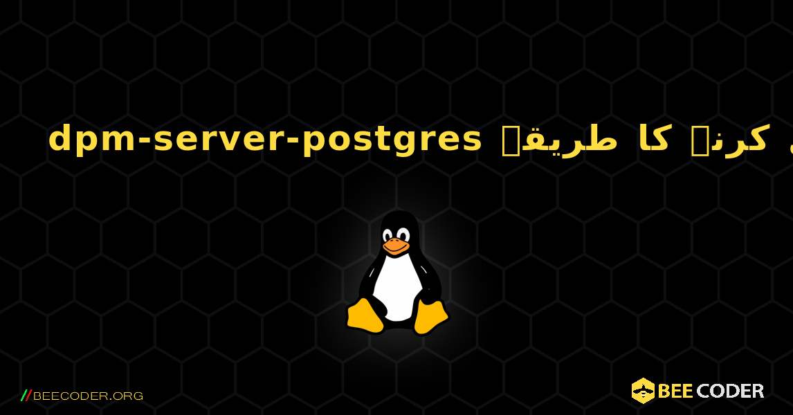 dpm-server-postgres  انسٹال کرنے کا طریقہ. Linux