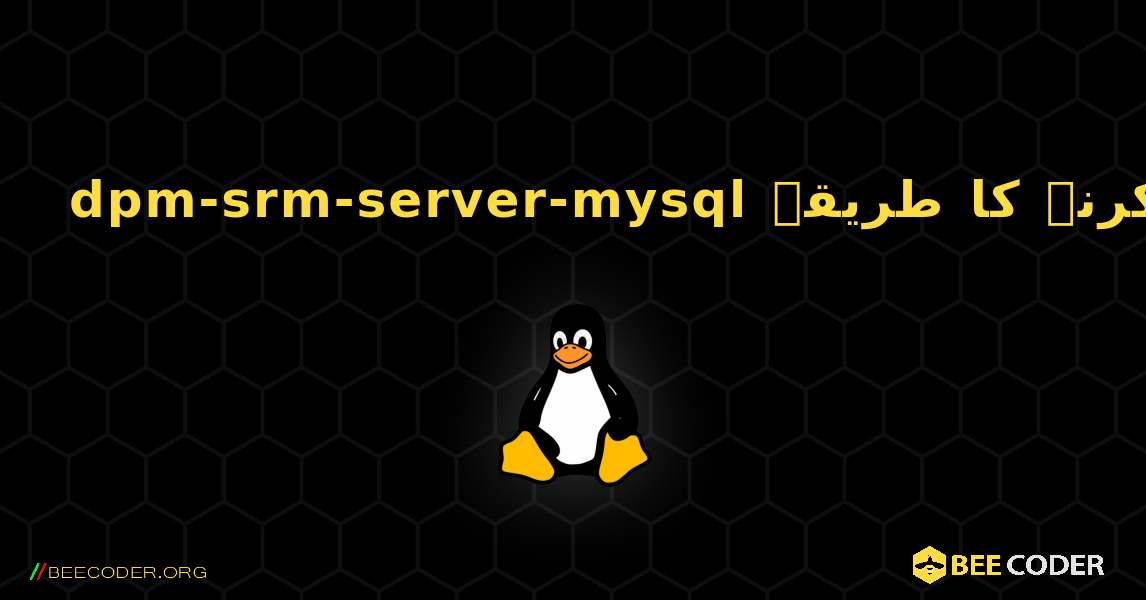 dpm-srm-server-mysql  انسٹال کرنے کا طریقہ. Linux