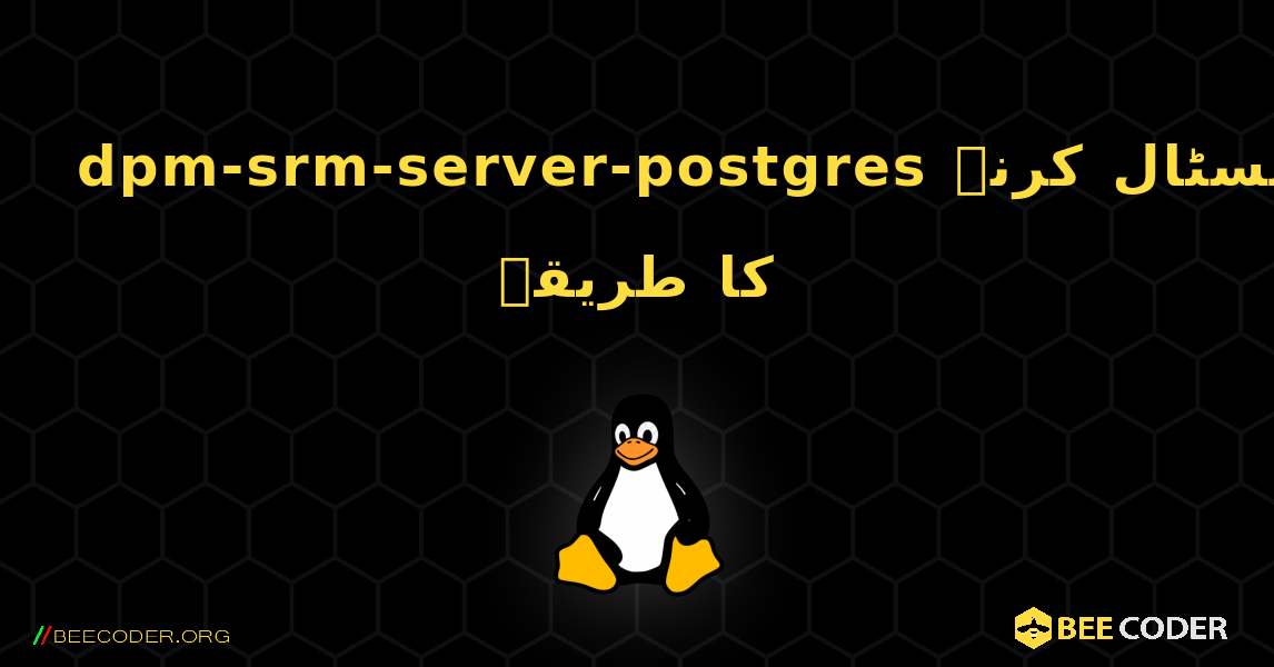 dpm-srm-server-postgres  انسٹال کرنے کا طریقہ. Linux