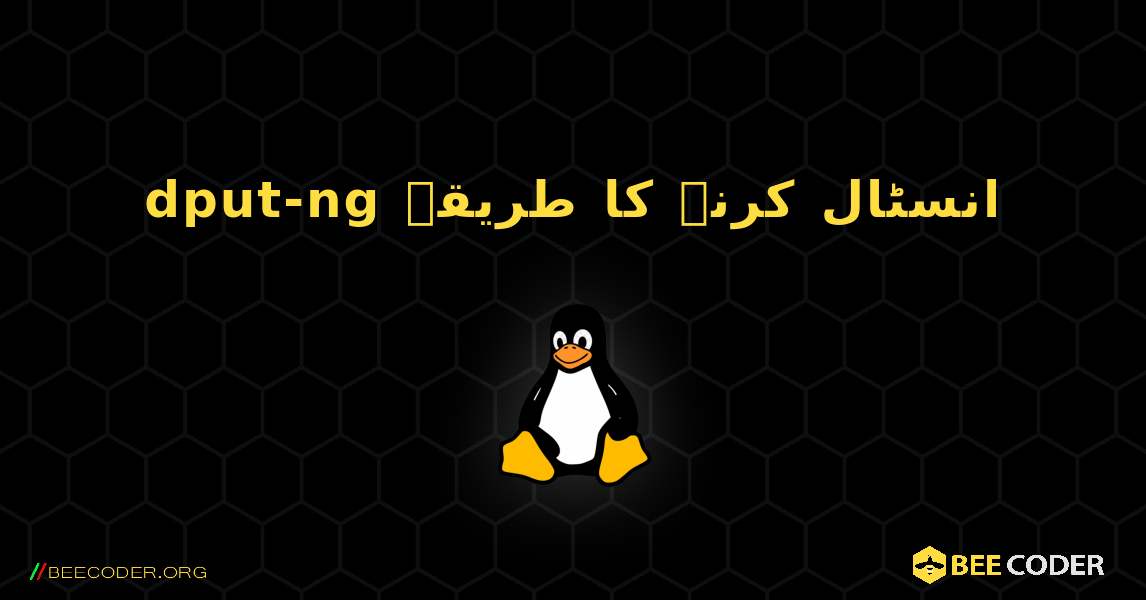 dput-ng  انسٹال کرنے کا طریقہ. Linux