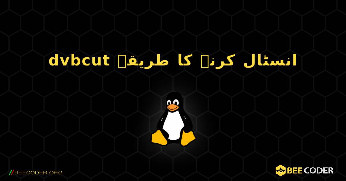 dvbcut  انسٹال کرنے کا طریقہ. Linux