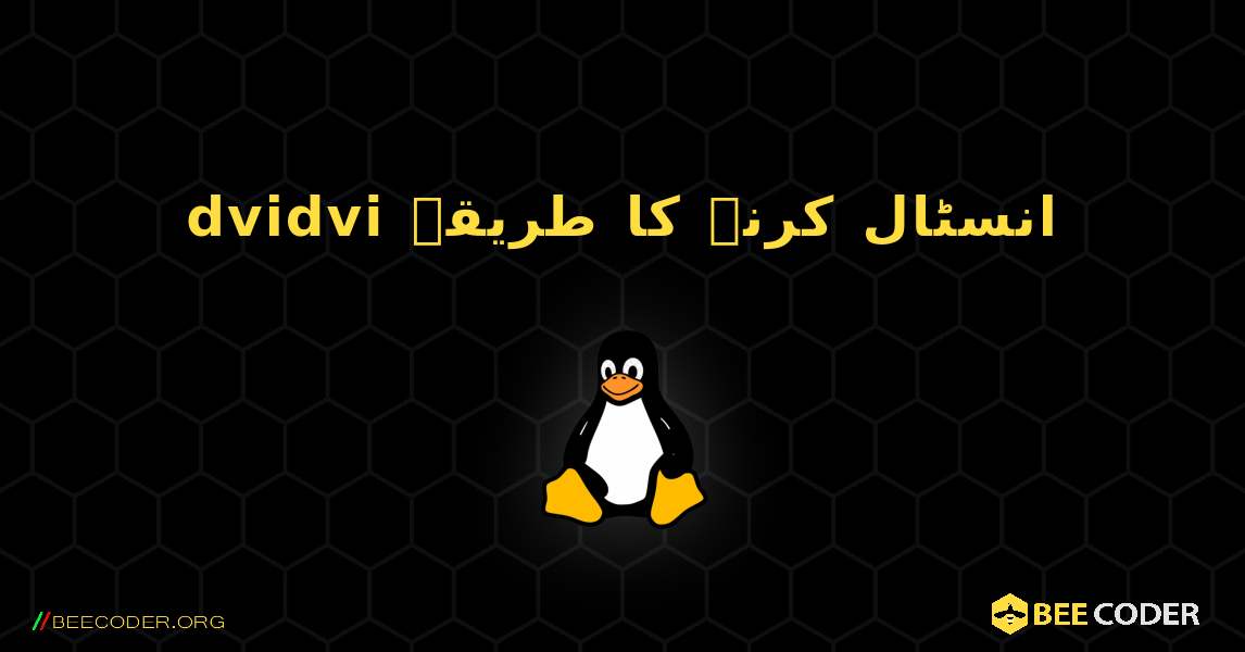 dvidvi  انسٹال کرنے کا طریقہ. Linux
