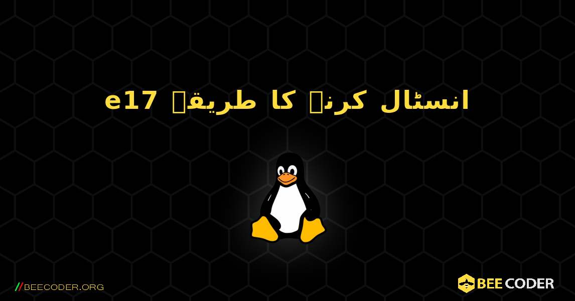 e17  انسٹال کرنے کا طریقہ. Linux