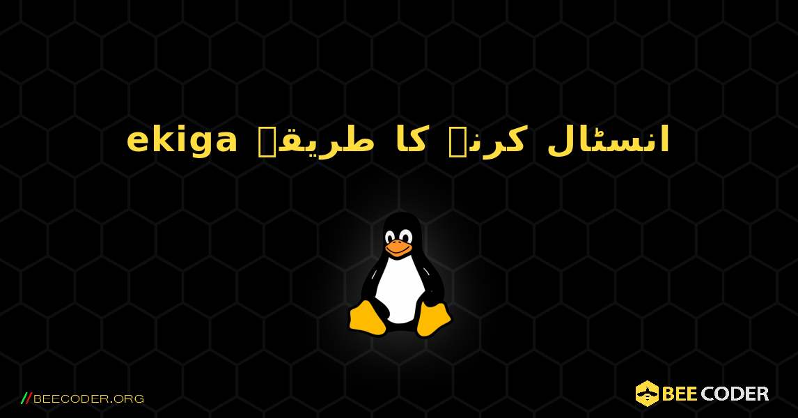 ekiga  انسٹال کرنے کا طریقہ. Linux