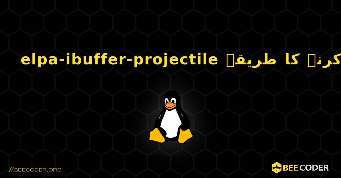 elpa-ibuffer-projectile  انسٹال کرنے کا طریقہ. Linux