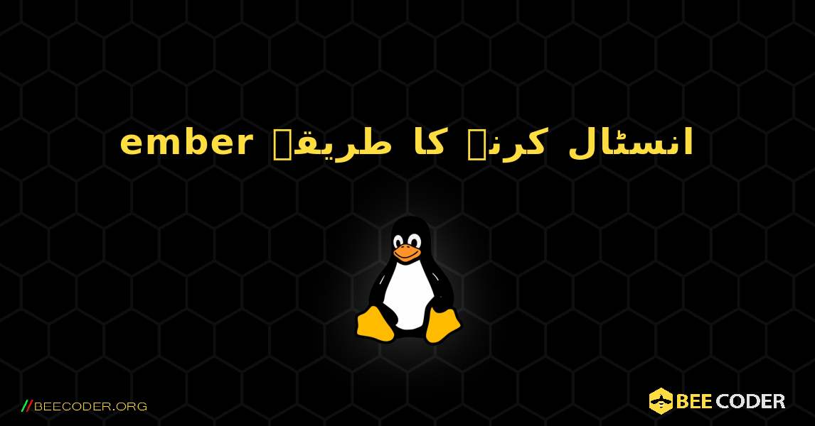 ember  انسٹال کرنے کا طریقہ. Linux