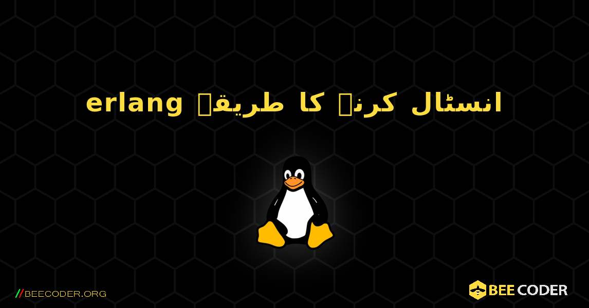 erlang  انسٹال کرنے کا طریقہ. Linux