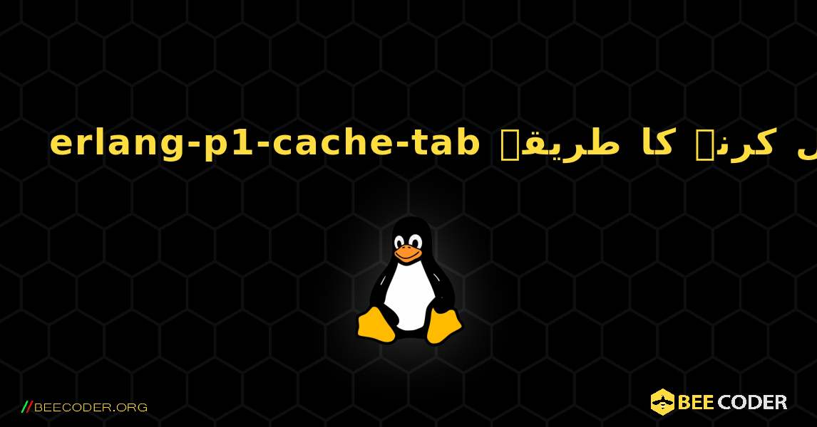 erlang-p1-cache-tab  انسٹال کرنے کا طریقہ. Linux