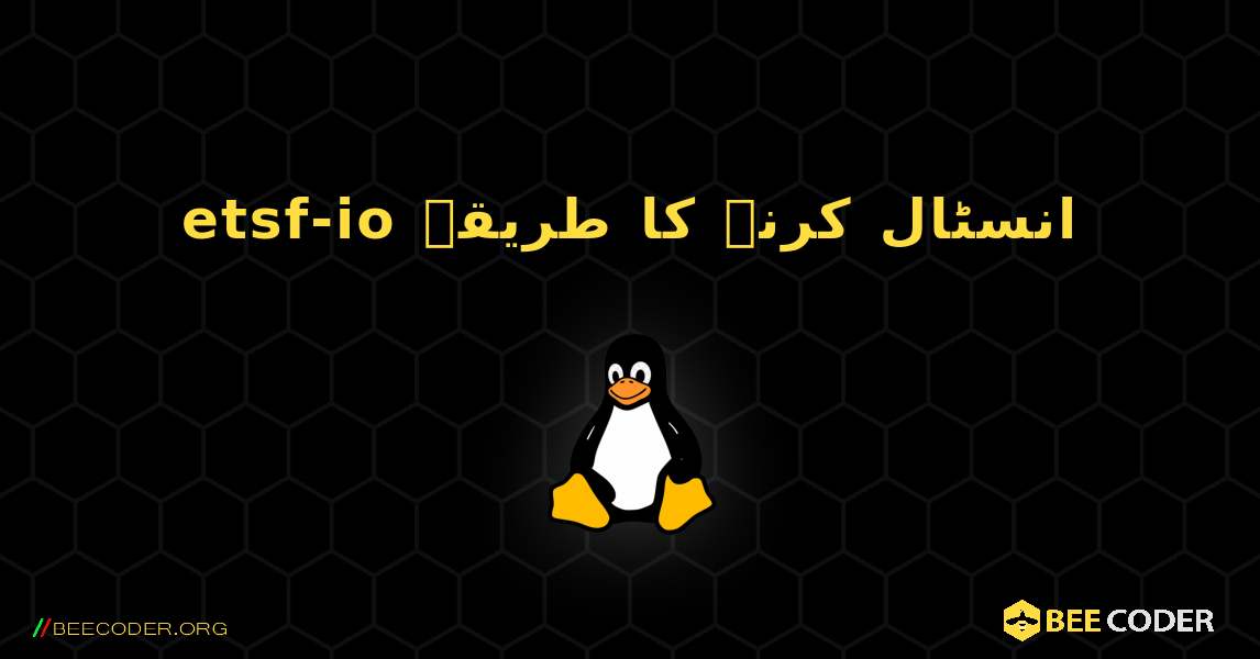 etsf-io  انسٹال کرنے کا طریقہ. Linux