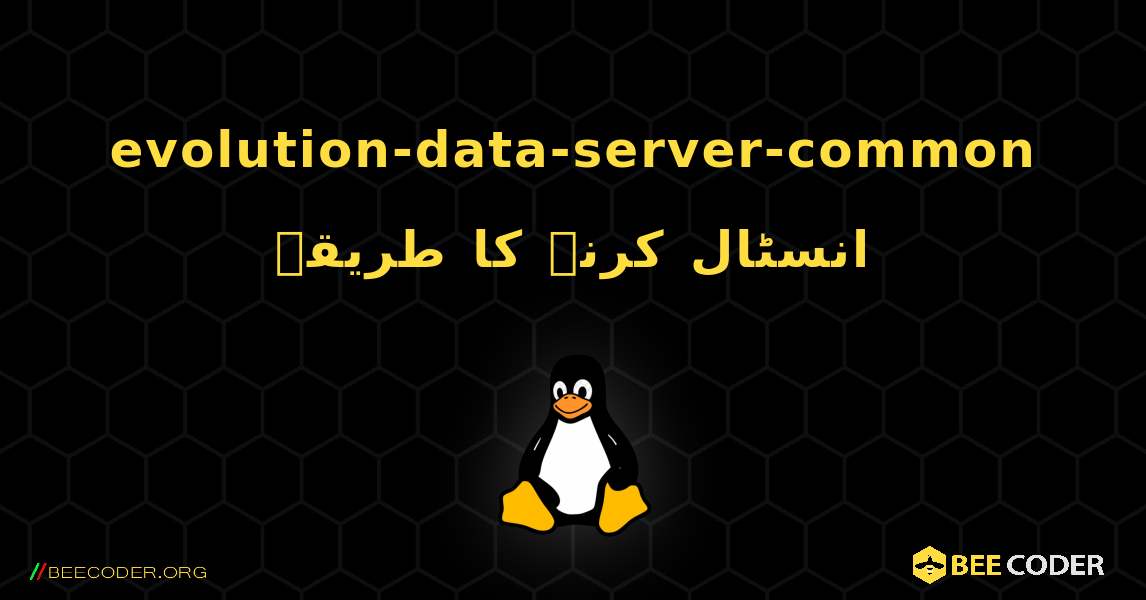 evolution-data-server-common  انسٹال کرنے کا طریقہ. Linux