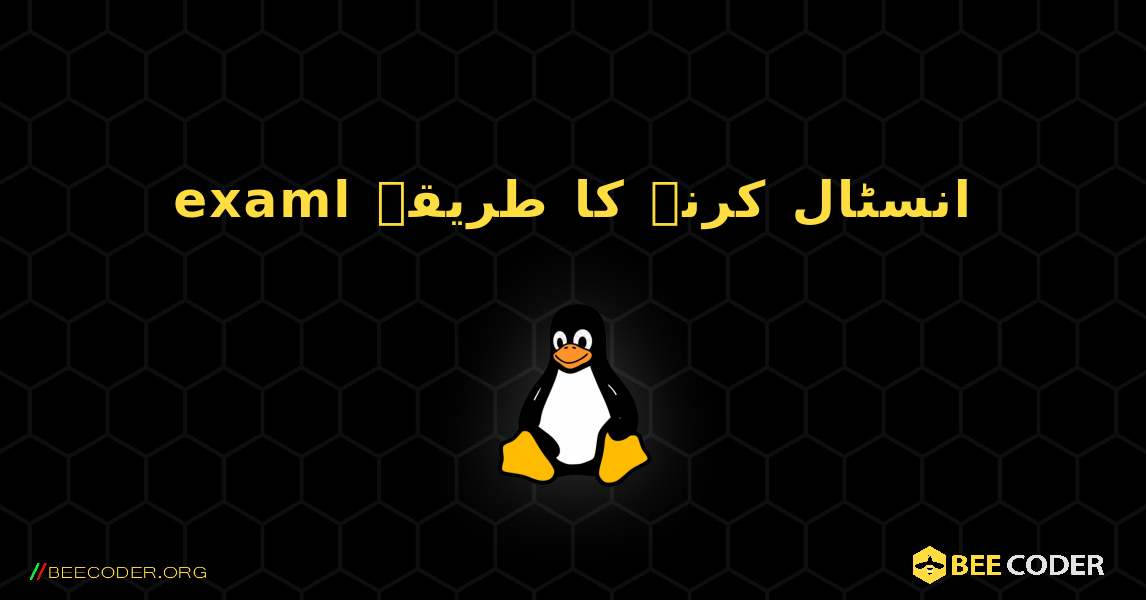 examl  انسٹال کرنے کا طریقہ. Linux