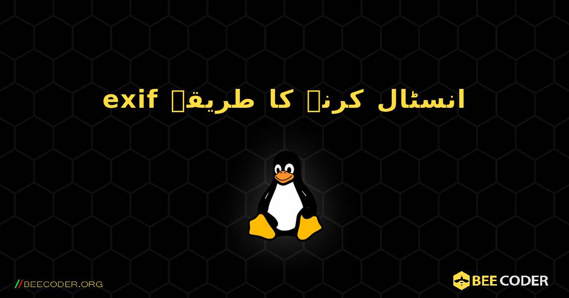 exif  انسٹال کرنے کا طریقہ. Linux