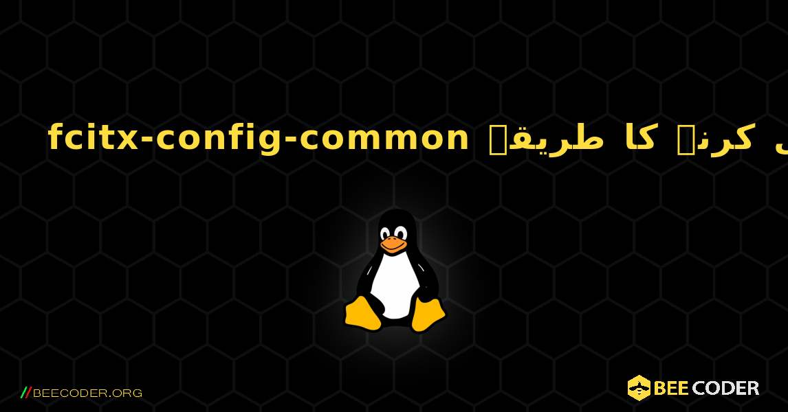 fcitx-config-common  انسٹال کرنے کا طریقہ. Linux